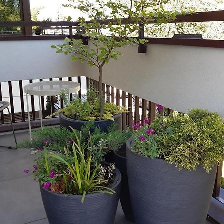 4Four Apartment, Villa Moderno, Taras, Parking Podziemny Stary Toruń 外观 照片